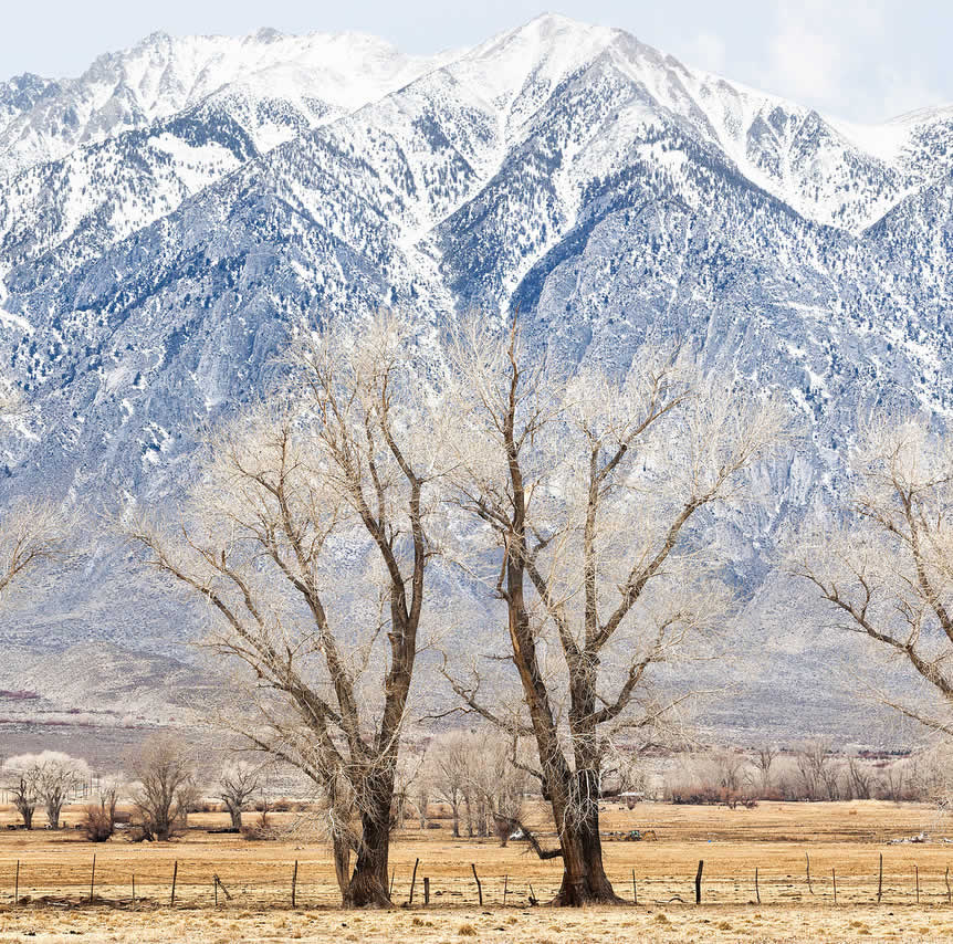 Sierra Farm